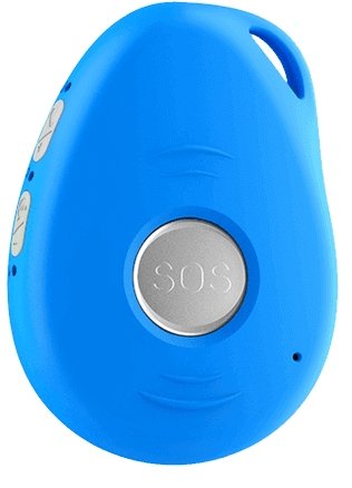 Accessible CareCaller™ LTE Pendant - SafeGuardian Medical Alarms & Help Alert Systems